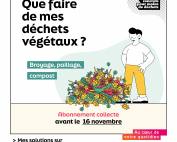 1200x1200-dechets-vegetaux