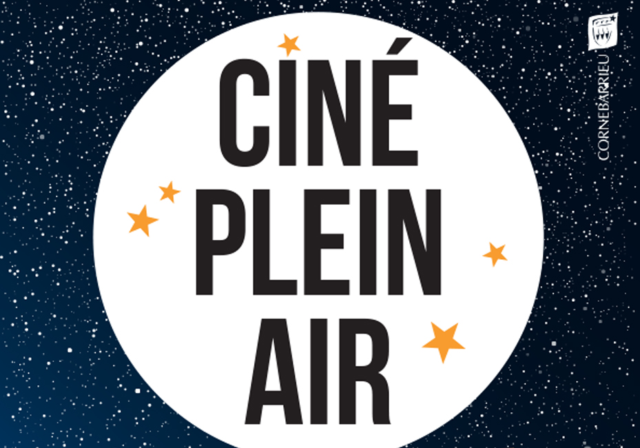 vignette ciné plein air