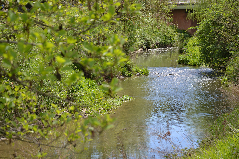 Berges de l'Aussonnelle