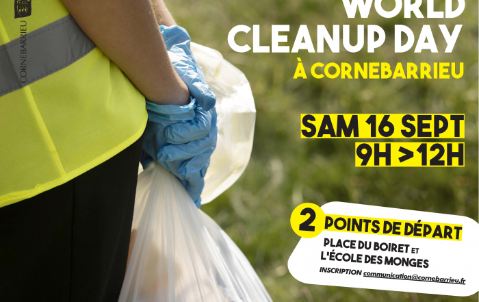 world clean day