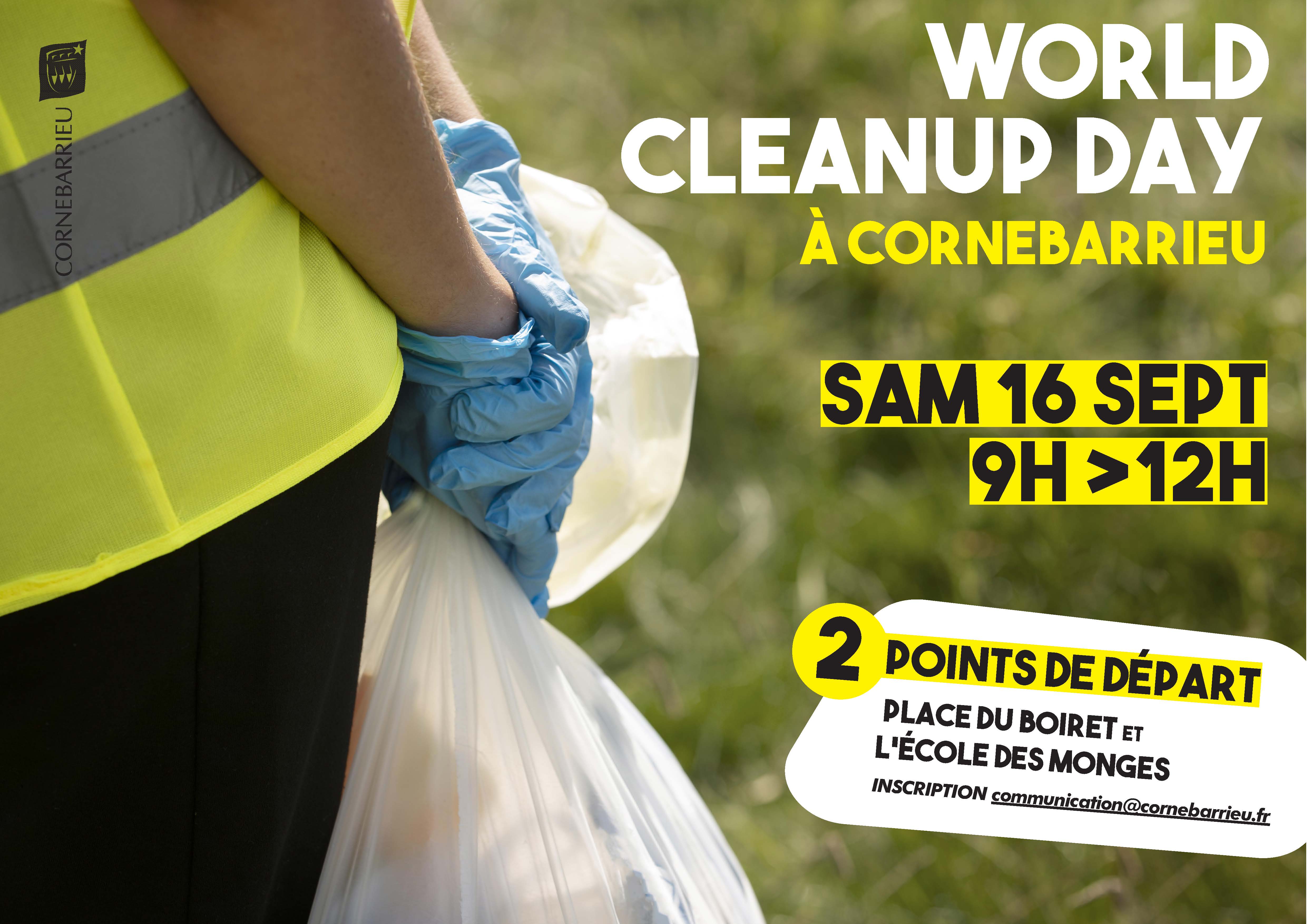 world clean day