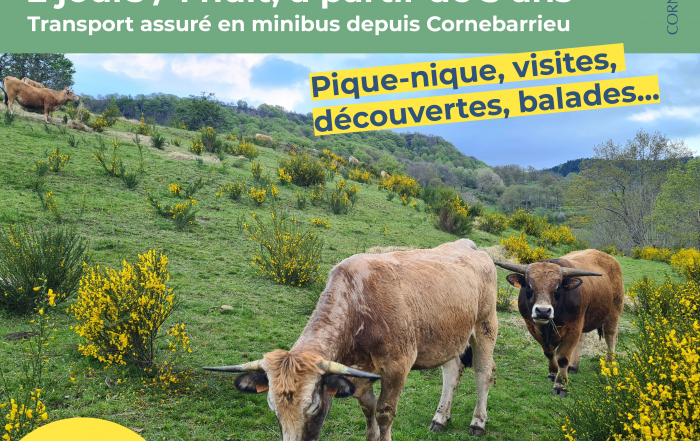 MLS_sejour_Aubrac_2025