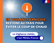Site-Pave-320x300_Canicule_Orange