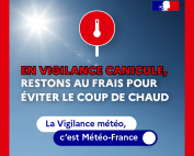 Site-Pave-320x300_Canicule_Rouge