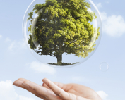 Earth day campaign hand showing tree in a bubble media mix