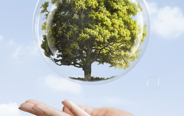 Earth day campaign hand showing tree in a bubble media mix