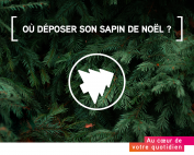 SAPINS RECUP RS2