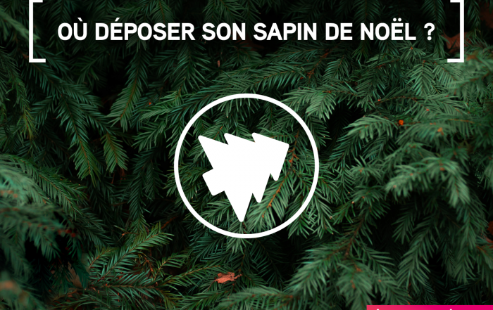 SAPINS RECUP RS2