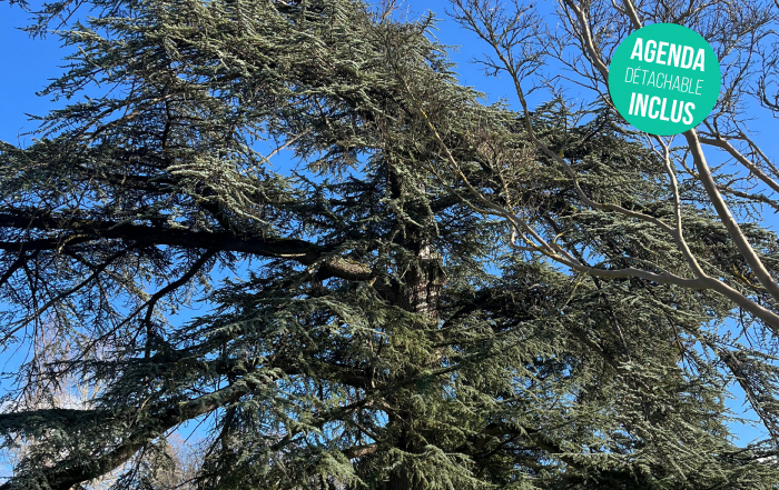 CI_2026_Fevrier-mars_couv