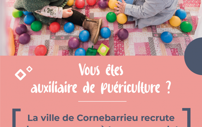 AfficheA3_rectrutement_AP (5)