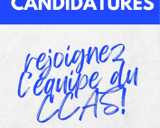 affiche A3 appel à candidatures CA CCAS