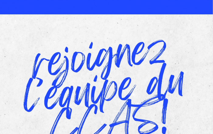 affiche A3 appel à candidatures CA CCAS